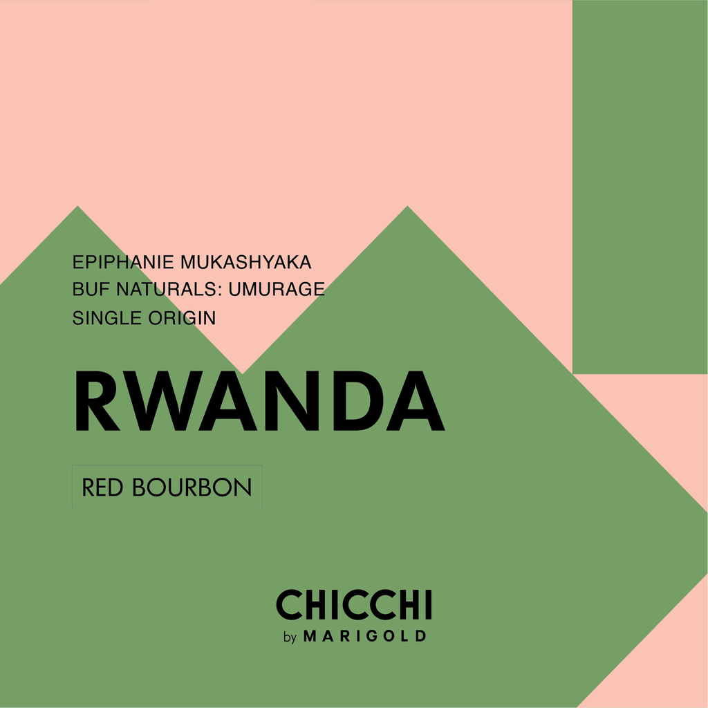 Chicchi by Marigold: Rwanda